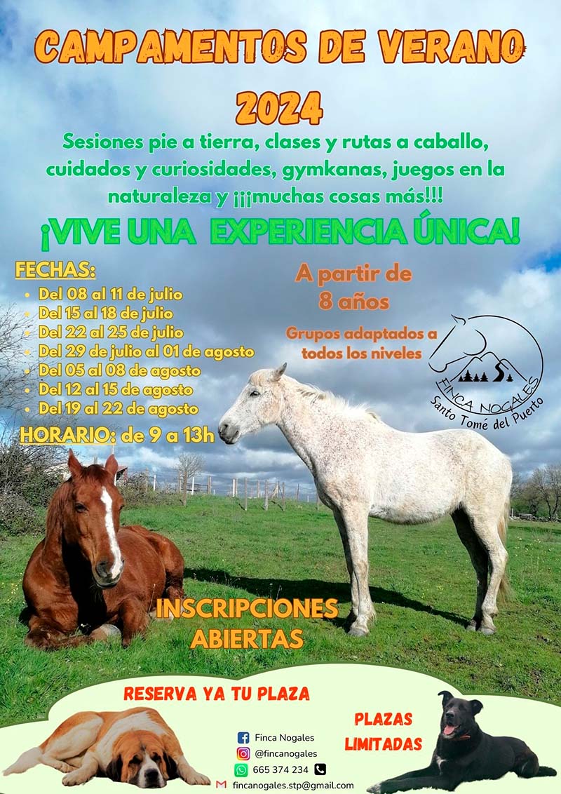 Campamentos de verano de hípica 2024