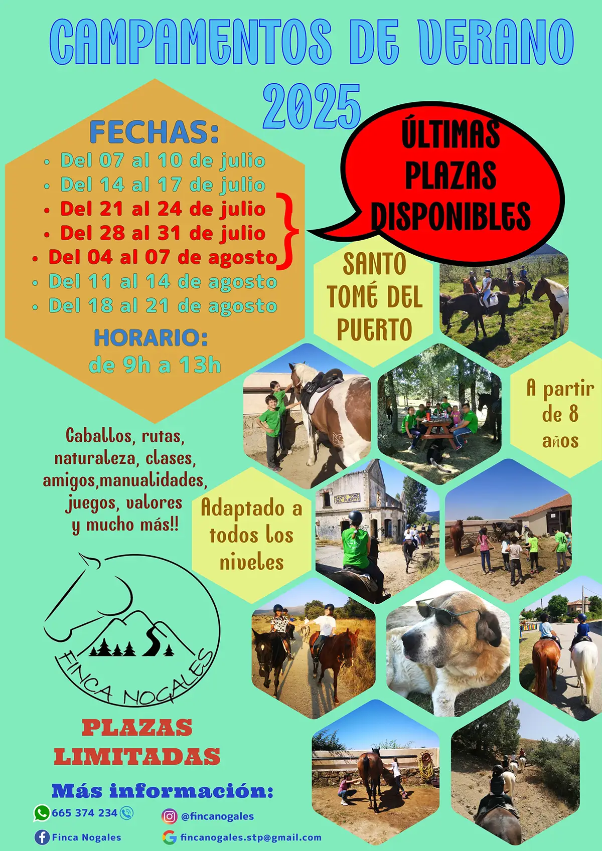 Campamentos de verano - Ultimas plazas