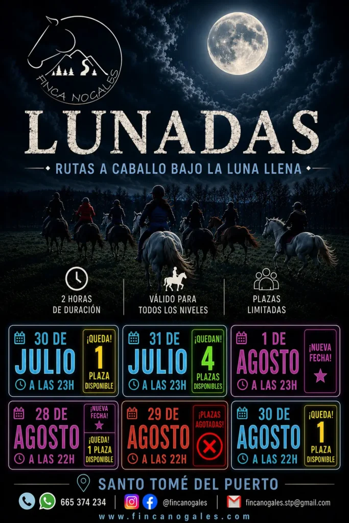 Rutas a caballo bajo la luna llena